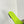 dway slide embroidered blue lime cotton