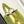 CAPUCINES MINI 21 IN PEAR GREEN TAURILLON GOLD HARDWARE