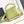 CAPUCINES MINI 21 IN PEAR GREEN TAURILLON GOLD HARDWARE