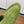 LP Open Walk Ankle Boot Green Fur Suede 550894