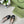 GG CRYSTAL SLIDES SANDAL BLACK AND CREAM CALFSKIN