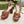 Horsebit 11cm Platform Sandal Brown Calfskin