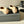 CC Ballet In Beige Suede 151519