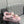CC 26s Dad Sandals Light Pink Suede Shearing 970113