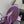 CC 2026 Thong Sandal Purple Metalic Calfskin 826184