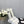 DAD SANDAL WHITE LAMBSKIN