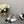 CAMELLIA CAP JANE SANDALS IN SILVER MIX BLACK LAMBSKIN