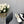 CAMELLIA CAP JANE SANDALS IN WHITE MIX BLACK LAMBSKIN