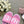 CC 25C Mid Heel Mule Pink Fabric Material 212962