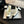 Double C WOMEN'S Slingback SPIRIT TOE White Lambskin
