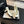 Double C WOMEN'S SHOES SPIRIT TOE White Lambskin