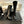 CC High Boots 75mm Black Print Cowhide