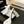 T-STRAP PEARL HEEL 85 MM SANDALS IN WHITE LAMBSKIN MULE