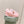 LV 25 Buttersoft Sneakers Pink Calfskin 576987
