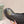 LV 25 Short Boots Black Cowhide 576921
