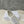 walkn cd cream oblique printed canvas