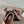 ballet flat in vienne nude lambskin