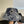 BUCKET HAT COLORFUL 431794