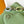 Capucines BB 21cm Bag Green Cowhide 251666
