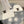 SET CLASSIC SCARF AND HAT IN WHITE WOOL 414786