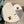 SET CLASSIC SCARF AND HAT IN WHITE WOOL 414786