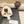 BEANIE HAT IN BEIGE WOOL 422178