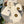 SET SCARF AND HAT IN BEIGE WOOL 434611