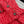 CC 2025 Jacket Red Wool 325882