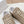 PRA FADED SUEDE SNEAKERS PEANUT