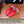 CC 25 Slippers Red Sheepskin 310141
