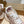 LV Run 55 Sneaker 50mm Brown Pink Polyester Mesh Fabric
