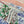 CD 26s Scarf 100cm In Silk 305844