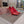 Jimmy 25 Love 100 Pump Red Patent Leather 240039