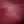 BV Concert Pouch 18.5cm Dark Red Lambskin