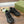 GG RIPPLE SNEAKER BLACK