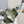 LOE COMPACT HAMMOCK 24 BAG IN OLIVE MELLOW CALFSKIN AND CANVAS
