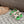 ELECTRIC SANDAL GREEN MIX LIGHT GRAY SUEDE