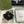 SCRUNCHIE IN BLACK AND GREEN TRIM SILK 432904