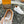 BEVERLY HILLS TRAINERS WHITE MIX BROWN CALFSKIN AND MESH FABRIC