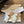 MM Tabi Flat Mule White Sheepskin 803753