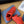 CD And Stone Island B30 Sneaker Red Orange Cowhide And Polyester Mesh Fabric