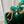 CAPUCINES MINI 21 GREEN CROCODILE EMBOSSED CALFSKIN GOLD HARDWARE