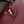 capucines mm 31.5 burgundy taurillon leather gold hardware