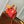 speedy p9 bandouliere 18cm red calfskin