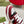 GG Sneaker Burgundy White Canvas