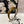SILK THICK HEADBAND DIJON YELLOW 239959
