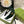 KAITOKE GREEN MONOGRAM CANVAS HAIRBAND 369304