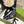 HEADBAND IN SPACE CADET MIX WHITE MONOGRAM CANVAS 423617