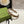HAIRBAND IN BEIGE AND EBONY CANVAS 432816