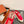LP Nantucket Walk Sneaker Red Cotton 723198